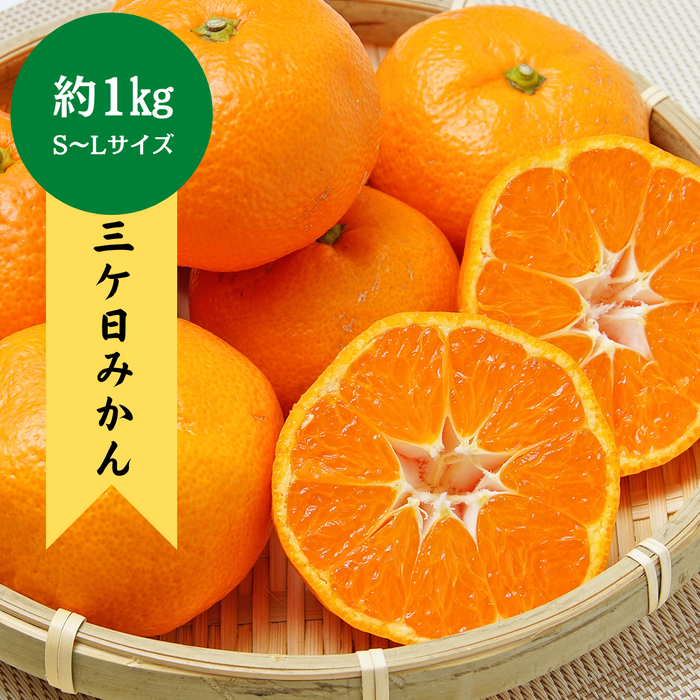 静岡県産 三ヶ日みかん 約1kg（S～Lサイズ）