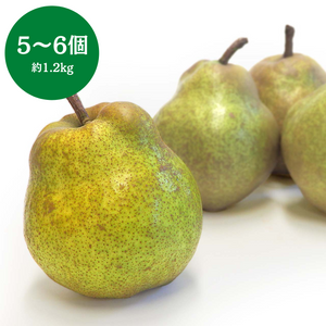 ◆11月15日頃販売開始予定◆
山形県産 
スーパー ラ・フランス 
1箱 5～6個入 約1.2kg