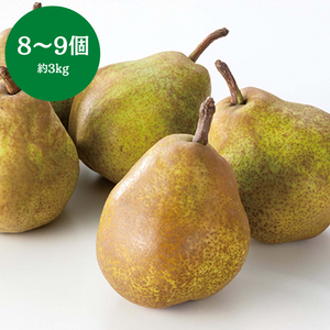 山形県産 
スーパー ラ・フランス 
1箱 8～9個入 約3kg