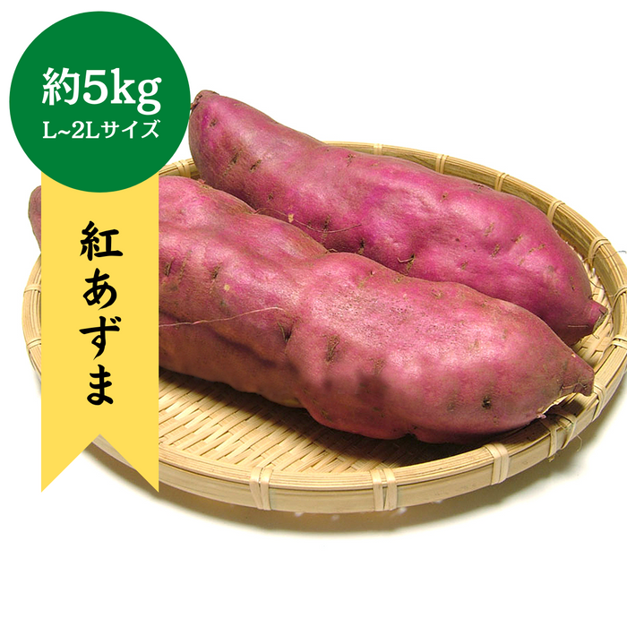 千葉県産他紅あずま　約5kg(L～2Lサイズ)