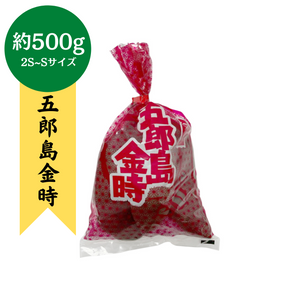 石川県産
五郎島金時　約500g(2S～S)