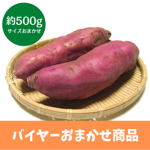 千葉県産他　さつまいも（品種、サイズおまかせ）　約500g