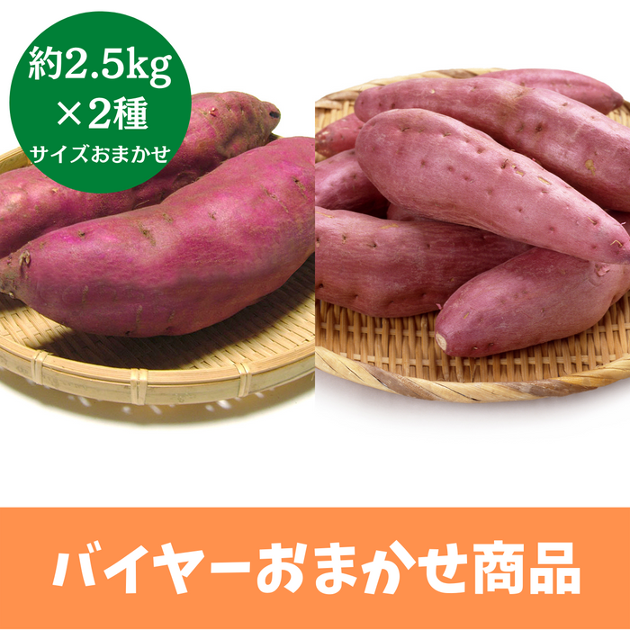 【バイヤーおまかせ】
千葉県産他さつまいも2種セット　約5kg(約2.5kg×2種)