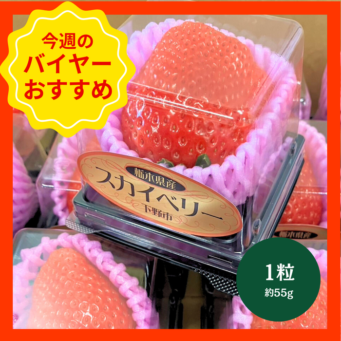 【1/18からおすすめ商品】スカイベリー　1粒(約55g)　栃木県産