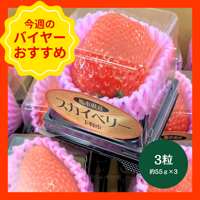 【1/18からおすすめ商品】スカイベリー　3粒(約55g×3粒)　栃木県産