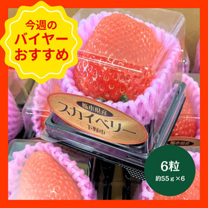 【1/18からおすすめ商品】スカイベリー　6粒(約55g×6粒)　栃木県産