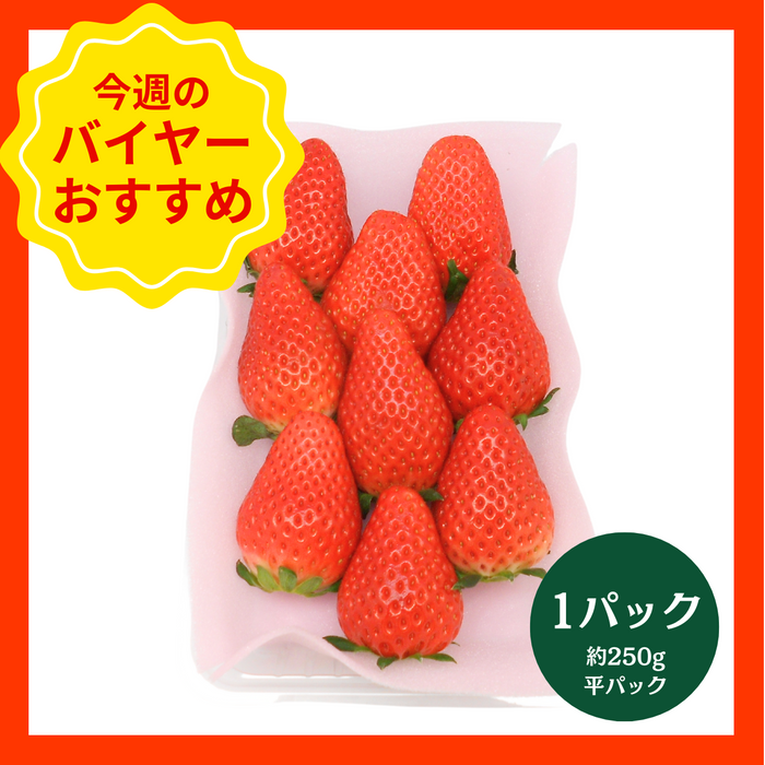 【1/18からおすすめ商品】スカイベリー　1パック(約250g　平パック)　栃木県産