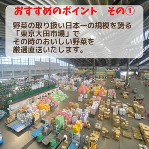 バイヤーおすすめ野菜セット
大田市場直送。厳選15品。