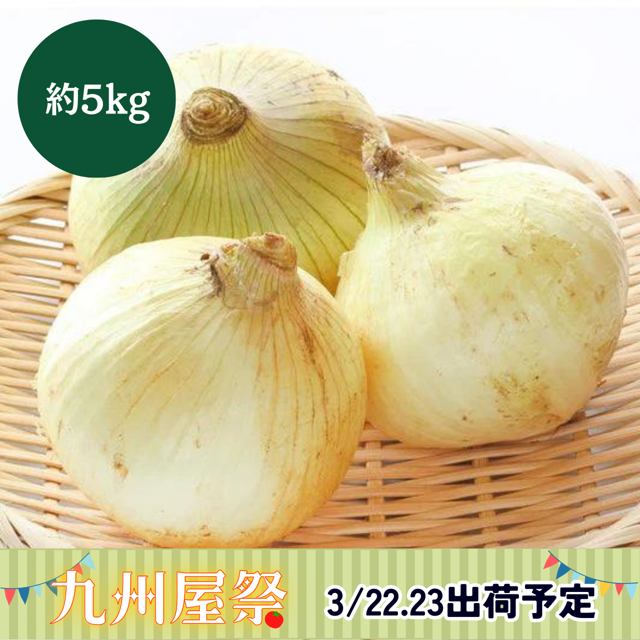 新玉ねぎ 5kg